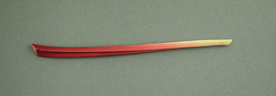 Bannière