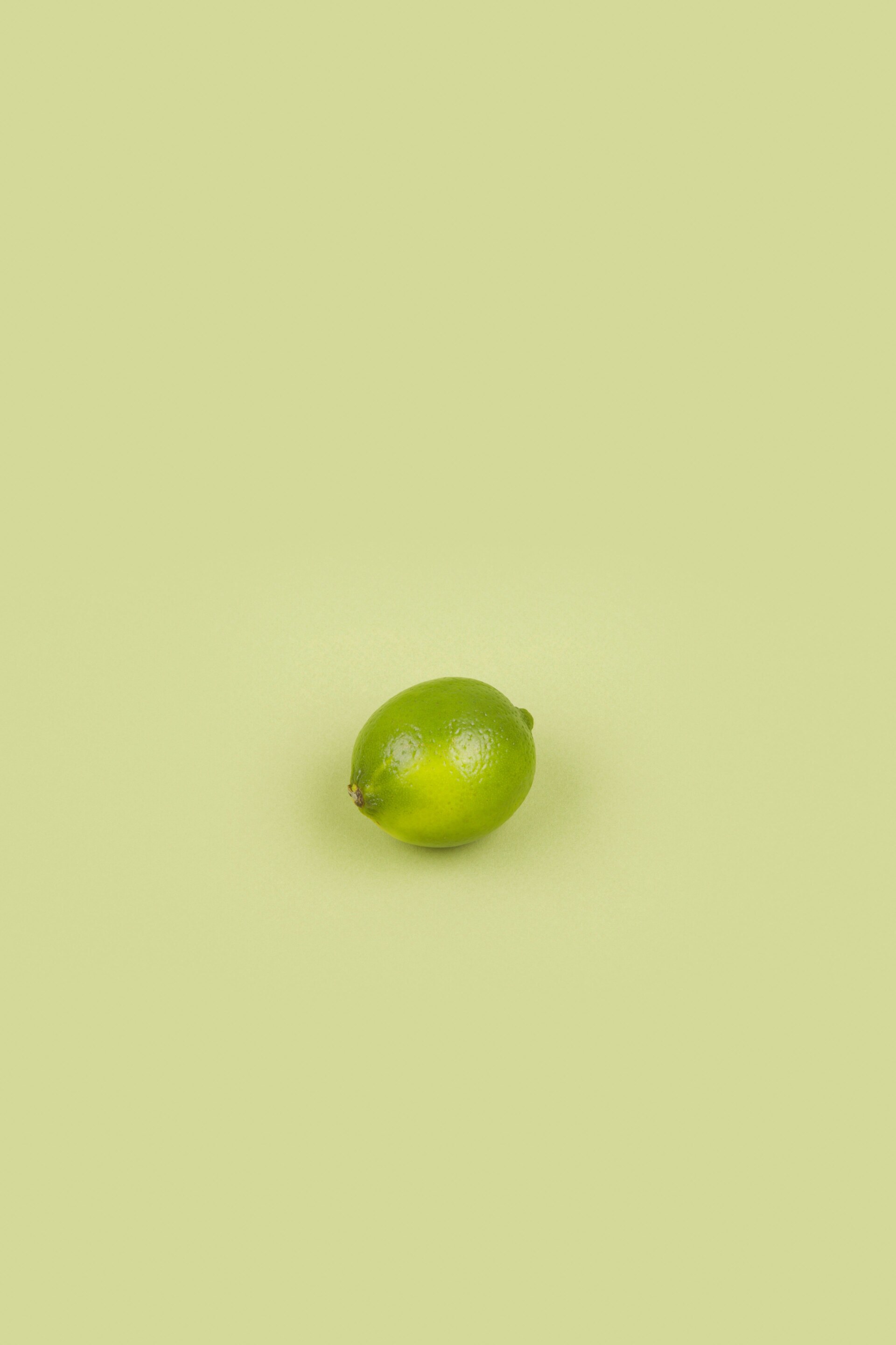 Fruit
